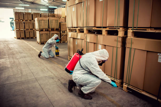 Best Rat Extermination Near Me  in Parsippany, NJ