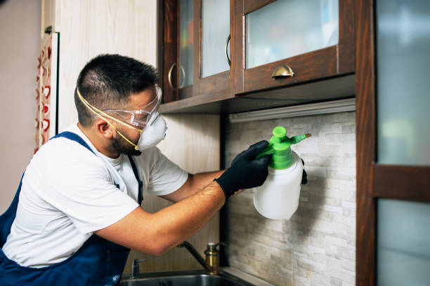 Flea Control Services in Parsippany, NJ