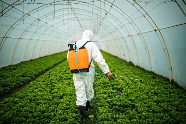 Best Insect Control  in Parsippany, NJ