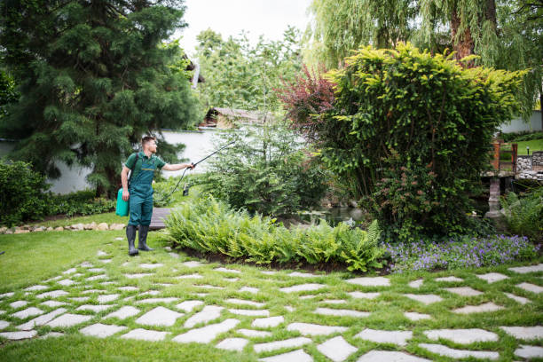 Best Pest Control Treatment  in Parsippany, NJ