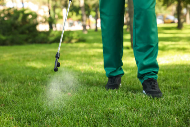 Best Affordable Pest Control Services  in Parsippany, NJ