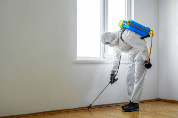 Best Flea Control Services  in Parsippany, NJ