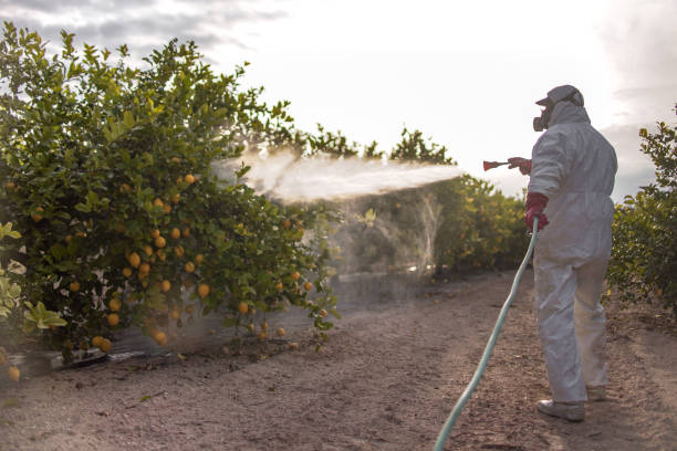 Best Pest Prevention Services  in Parsippany, NJ