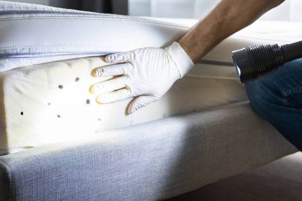 Reliable Parsippany, NJ Pest Control Solutions