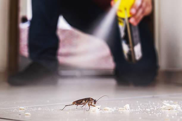 Best Rodent Control Near Me  in Parsippany, NJ