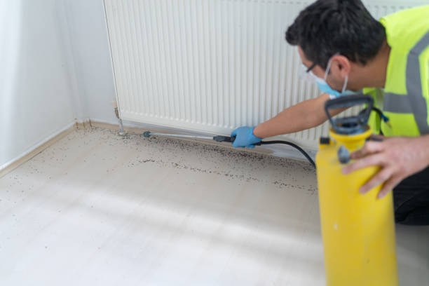 Best Local Pest Control Services  in Parsippany, NJ