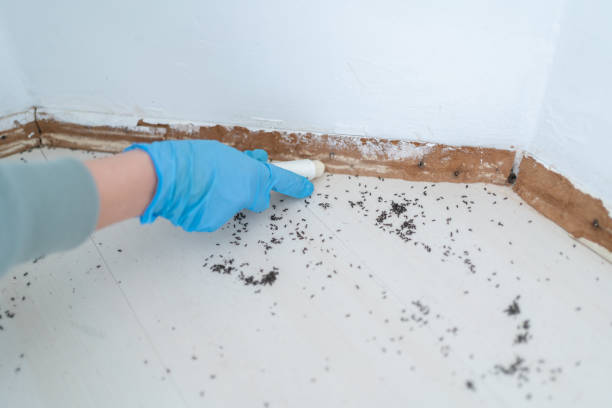 Pest Control for Restaurants in Parsippany, NJ