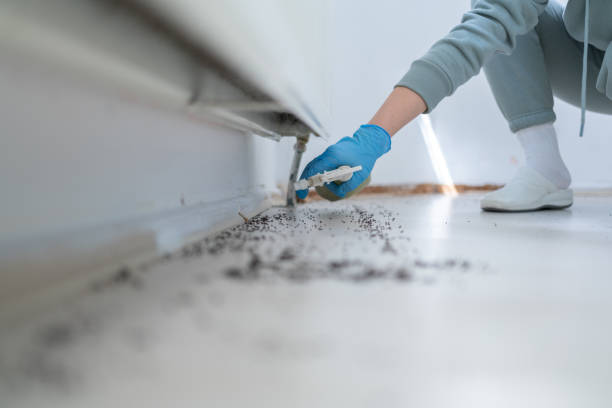 Best Spider Control Near Me  in Parsippany, NJ